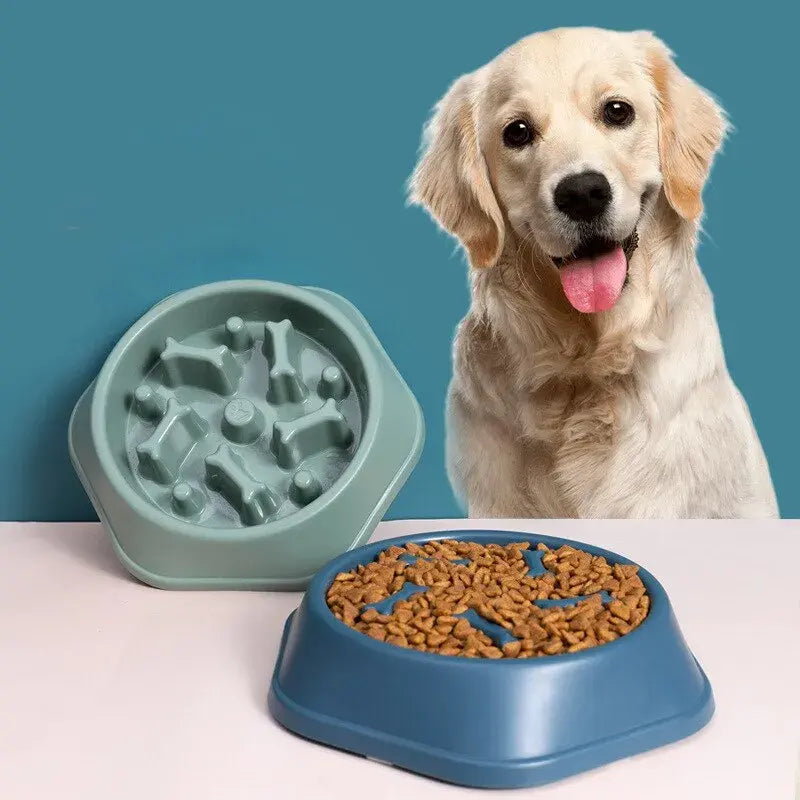 Slow Feeder Pet Bowl - Prevents Bloat & Improves Digestion