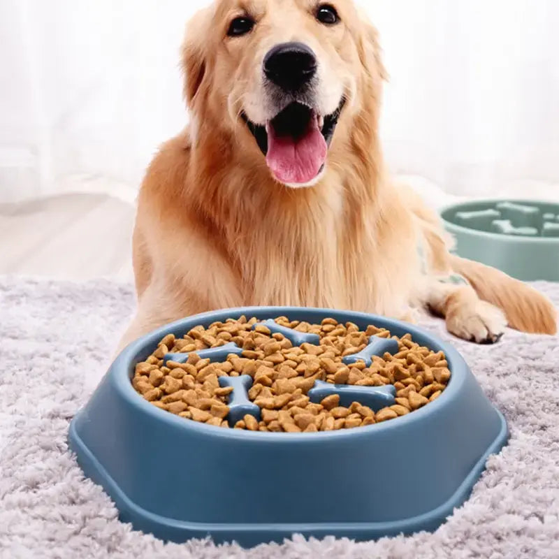 Slow Feeder Pet Bowl - Prevents Bloat & Improves Digestion