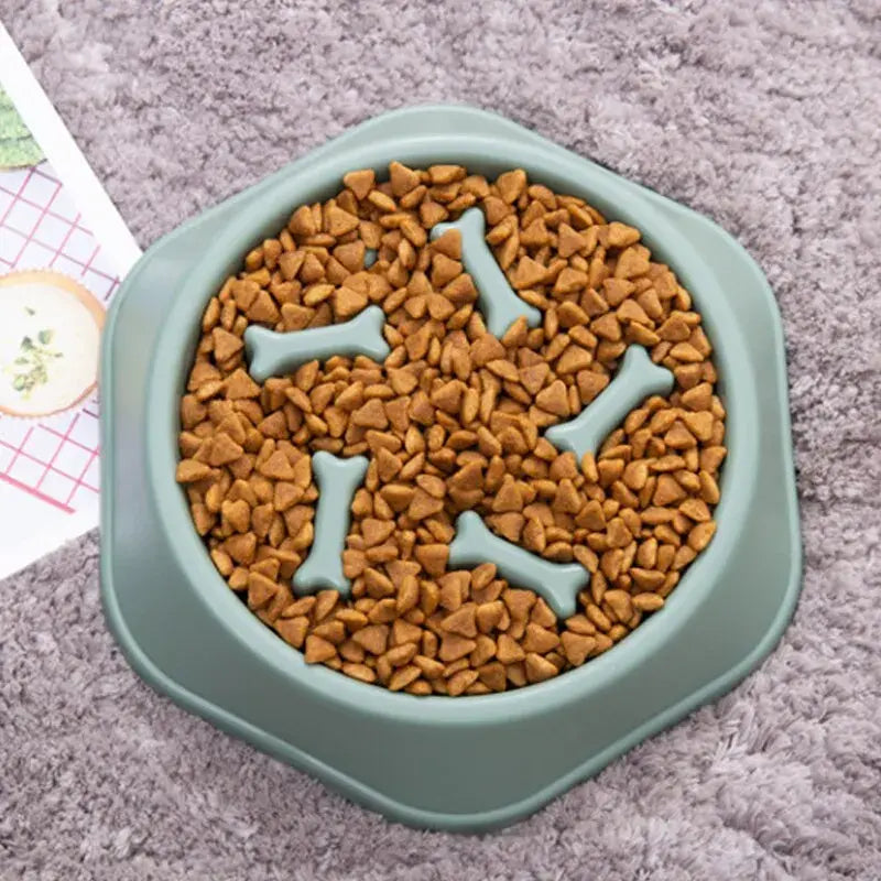 Slow Feeder Pet Bowl - Prevents Bloat & Improves Digestion